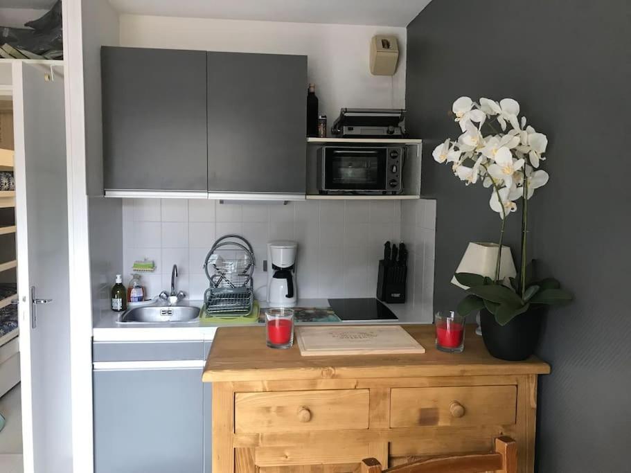 Appartement Aux Pieds Des Remontees Mecaniques Bagnères-de-Luchon Zewnętrze zdjęcie