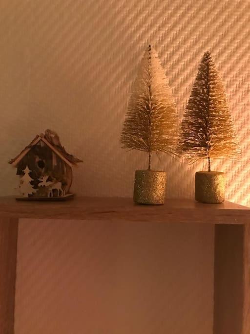 Appartement Aux Pieds Des Remontees Mecaniques Bagnères-de-Luchon Zewnętrze zdjęcie
